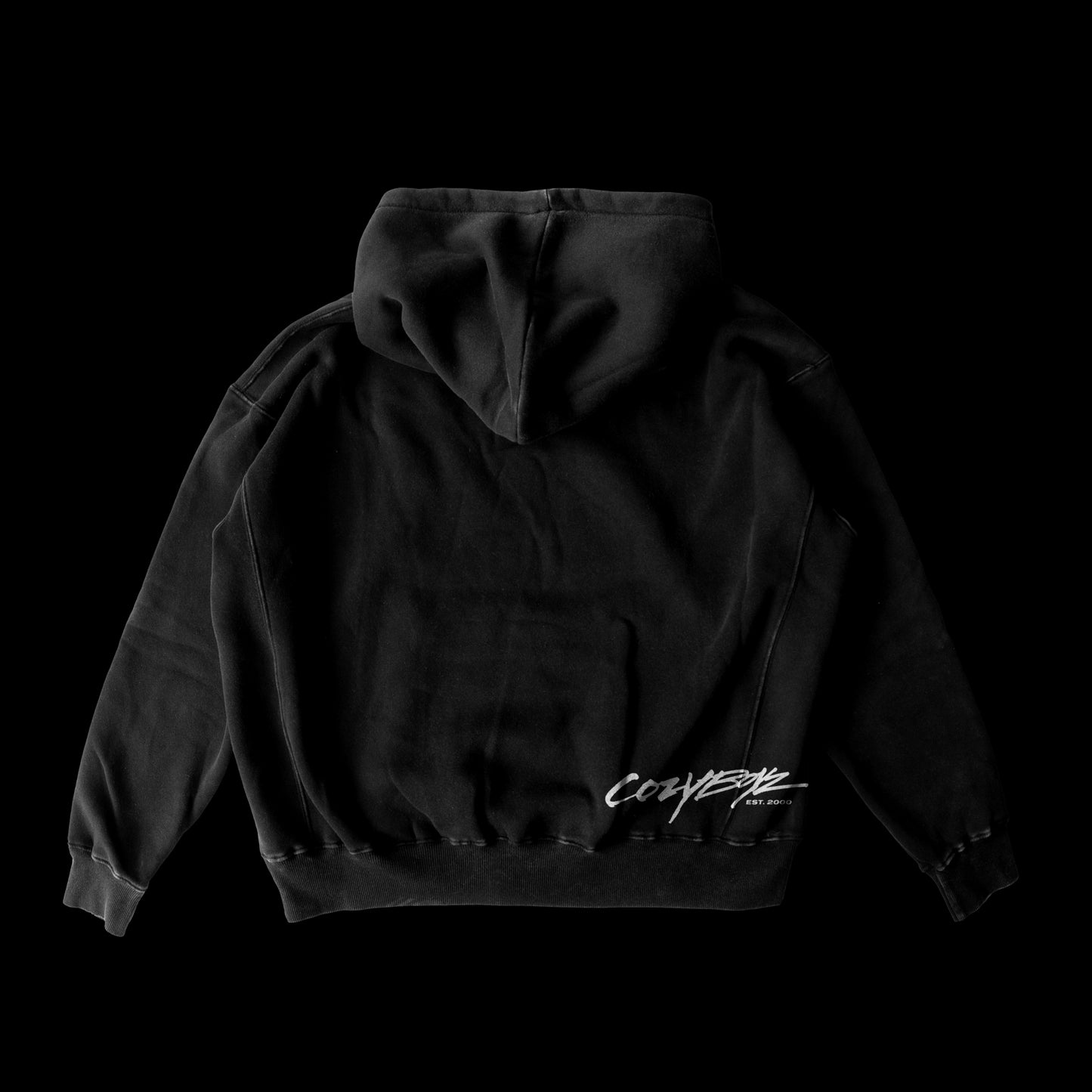 Cozy Boyz Hoodie V2